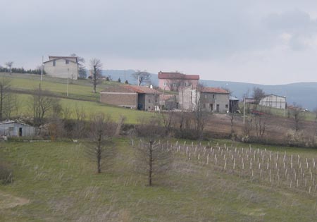 Esterina Paolucci House