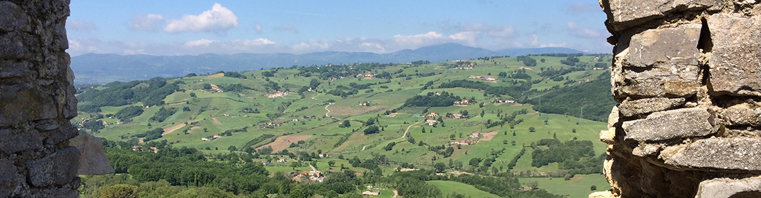 Campania